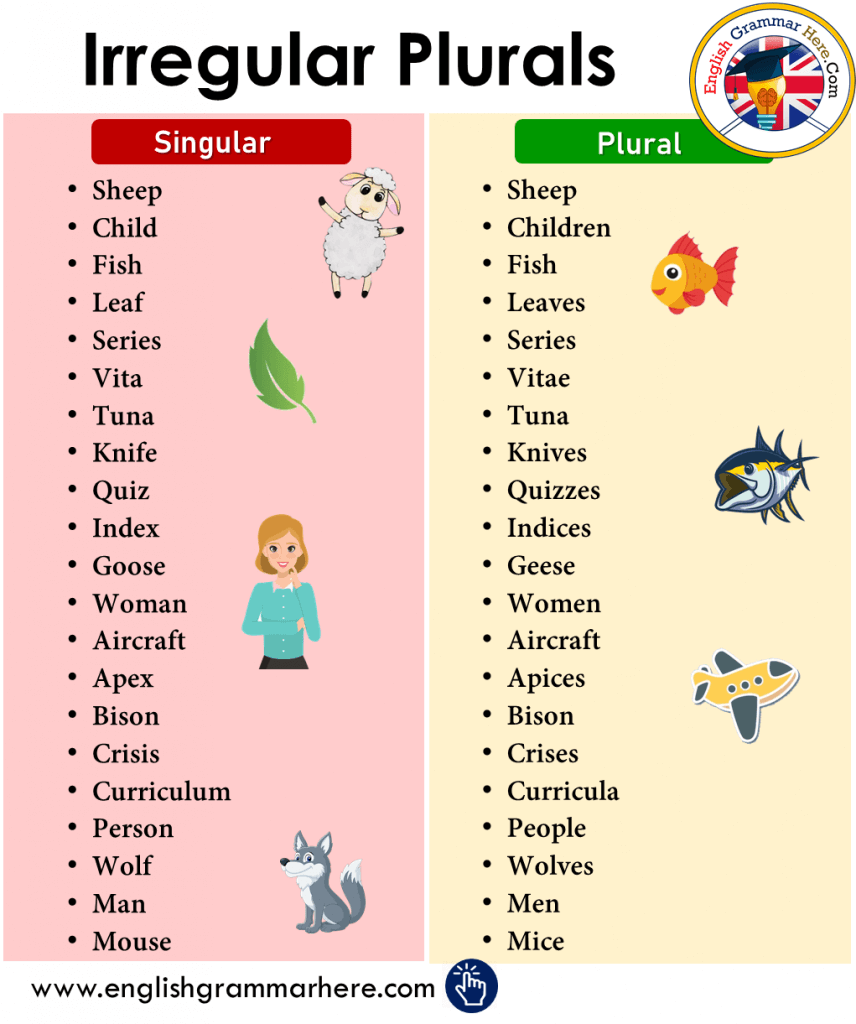 learn-more-about-how-to-form-plural-nouns-and-exceptions-to-these