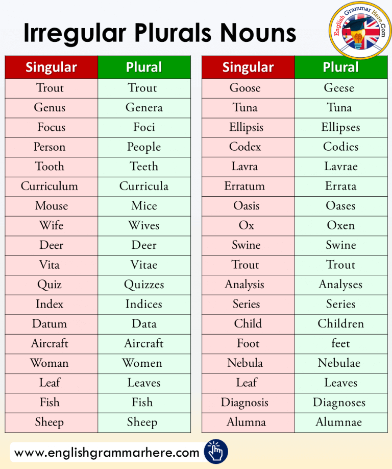 Irregular Singular And Plural Nouns Exercises Pdf