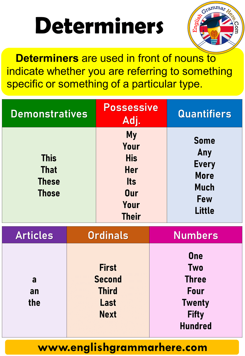 Determiners, Detailed Expression and Examples