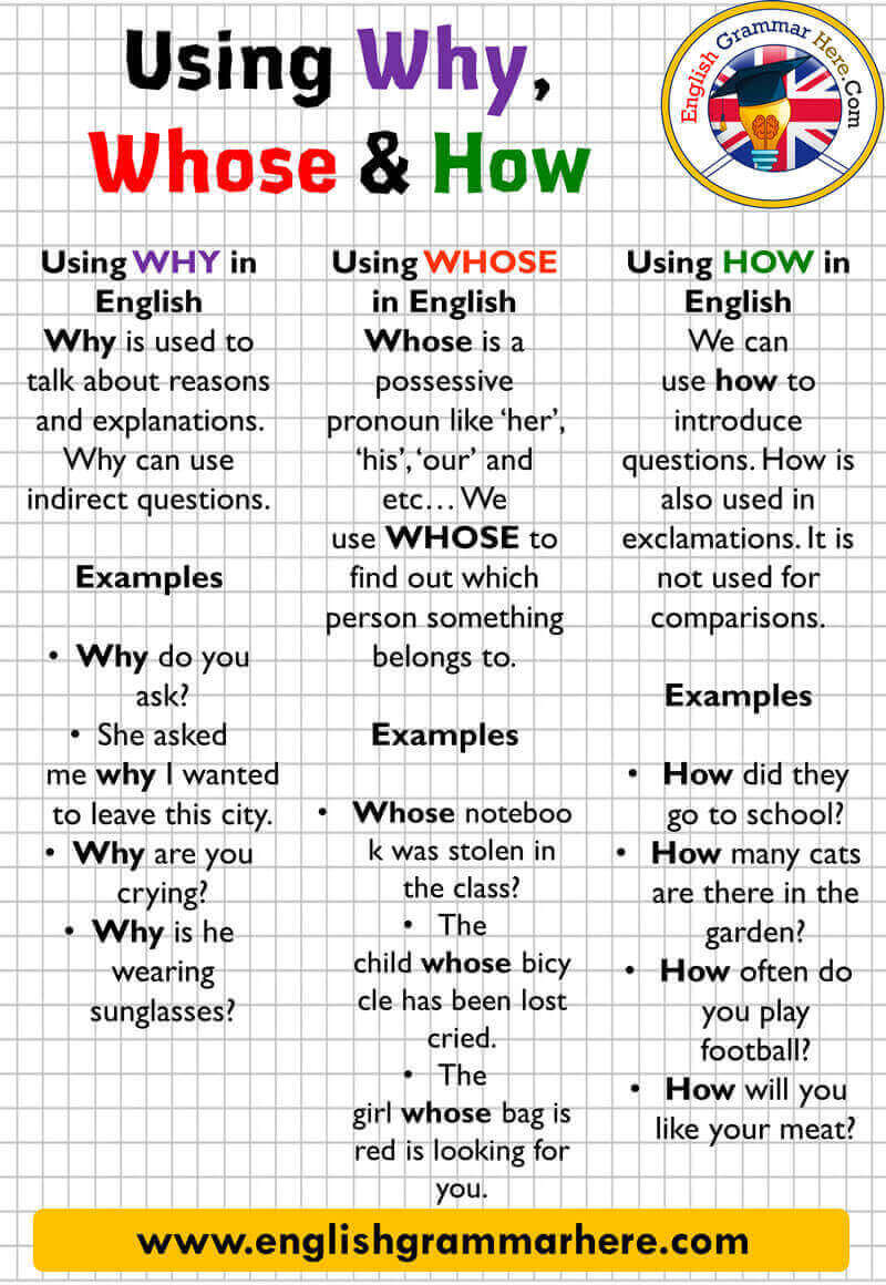 English Using WHY, WHOSE, HOW and Example Sentences