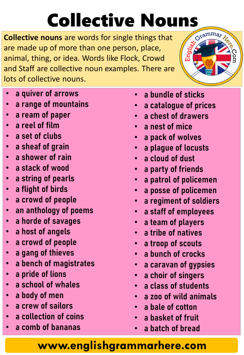 5 Examples Of Collective Nouns In Sentences English Grammar Here