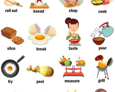 English Cooking Verbs, Definition and Example Sentences