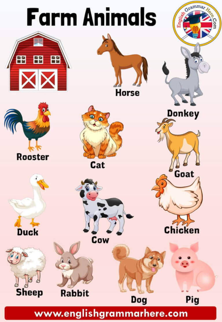 Farm Animals Names, Definition and Examples - English Grammar Here