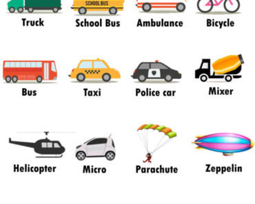 Transportation Names, Definition and Examples