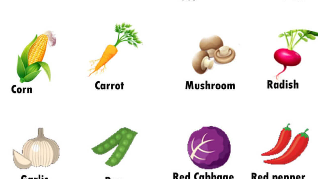 Vegetables Names, Definition and Examples - English Grammar Here
