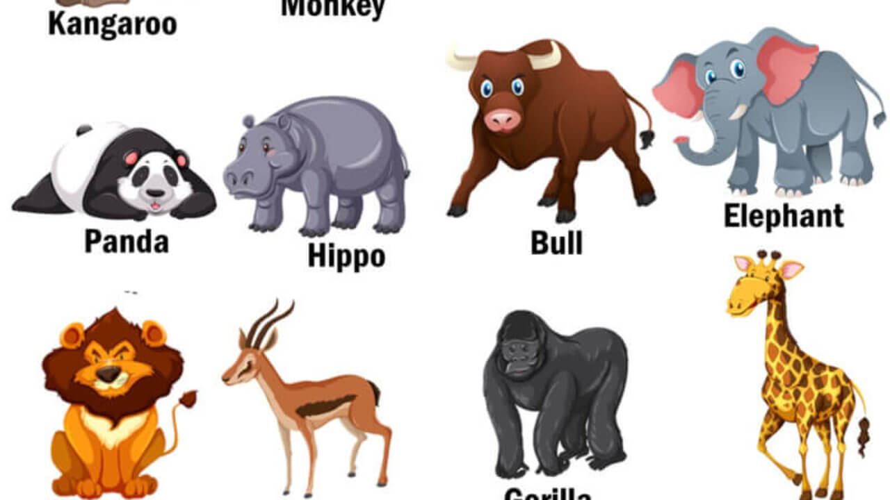 Wild Animals, Definition and Examples - English Grammar Here