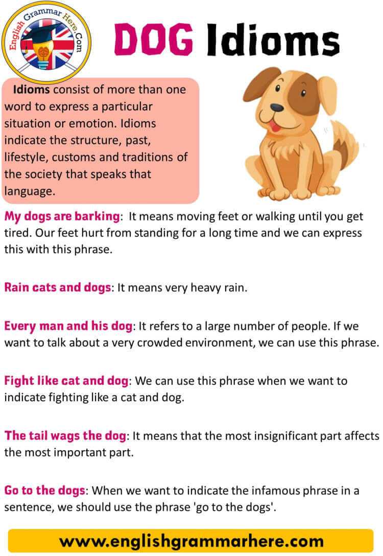 English Dog Idioms, Definition and Examples