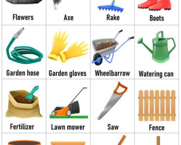 English Garden Vocabulary, Gardening Tools Names With Pictures