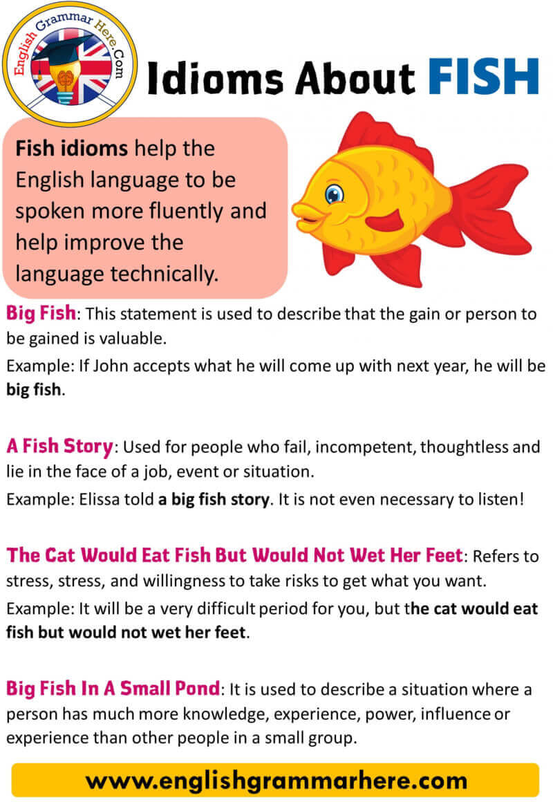 idioms-about-fish-list-of-idioms-related-to-fish-english-grammar-here