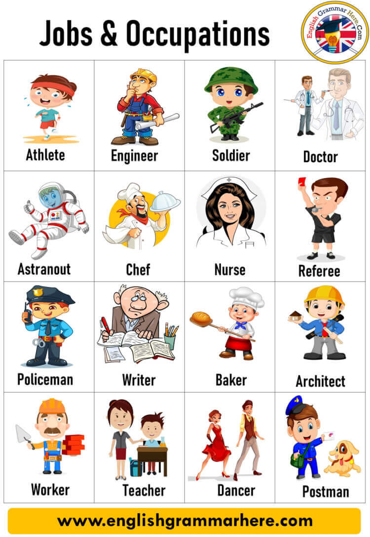 Jobs and Occupations Names with Pictures in English