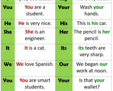 English Possessive Adjectives and Possessive Pronouns, Definition and Example Sentences