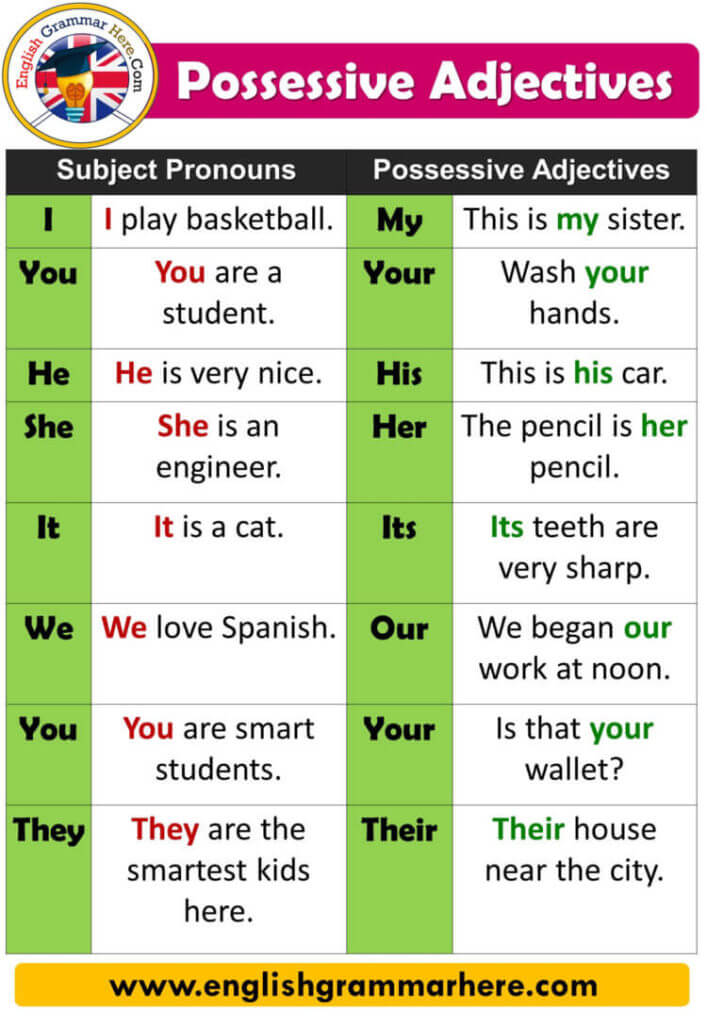 Possessive Adjectives and Possessive Pronouns, Definition and Example