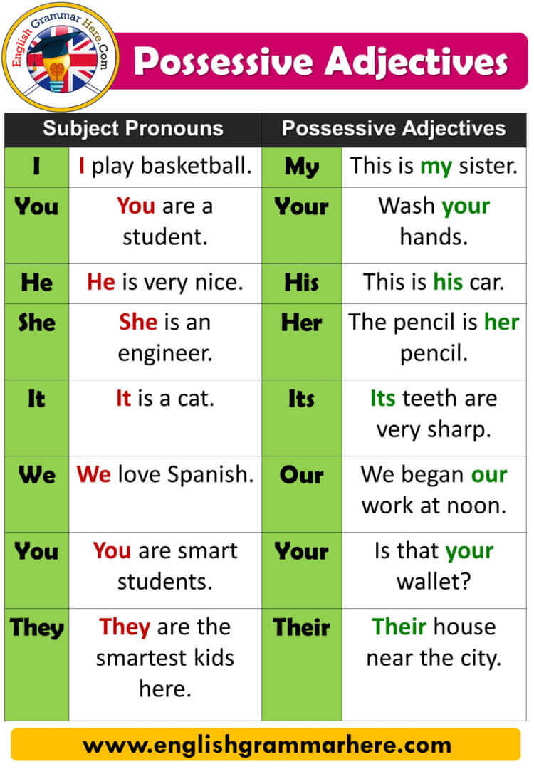 English Possessive Adjectives and Possessive Pronouns, Definition and Example Sentences