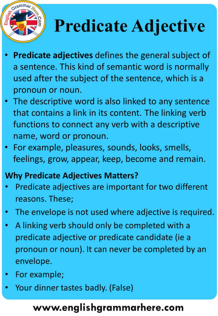 Predicate Adjective Predicate Nouns Practice Worksheets