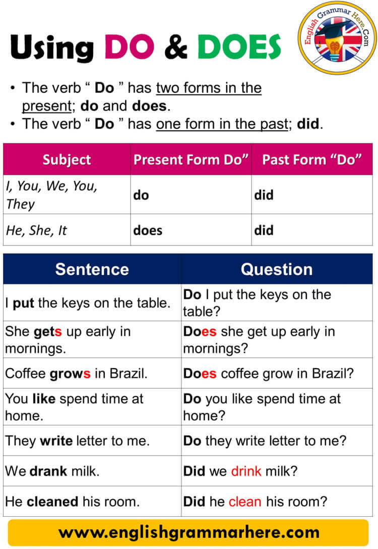 Using Do and Does, Definition and Example Sentences