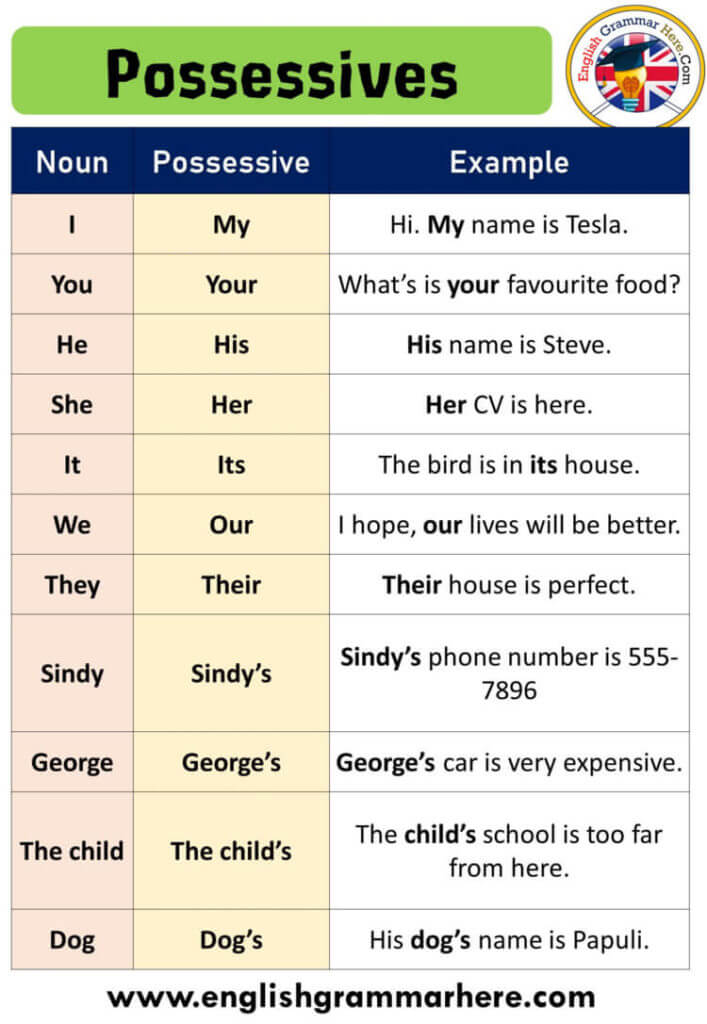 Write 5 Sentences Using Possessive Pronouns