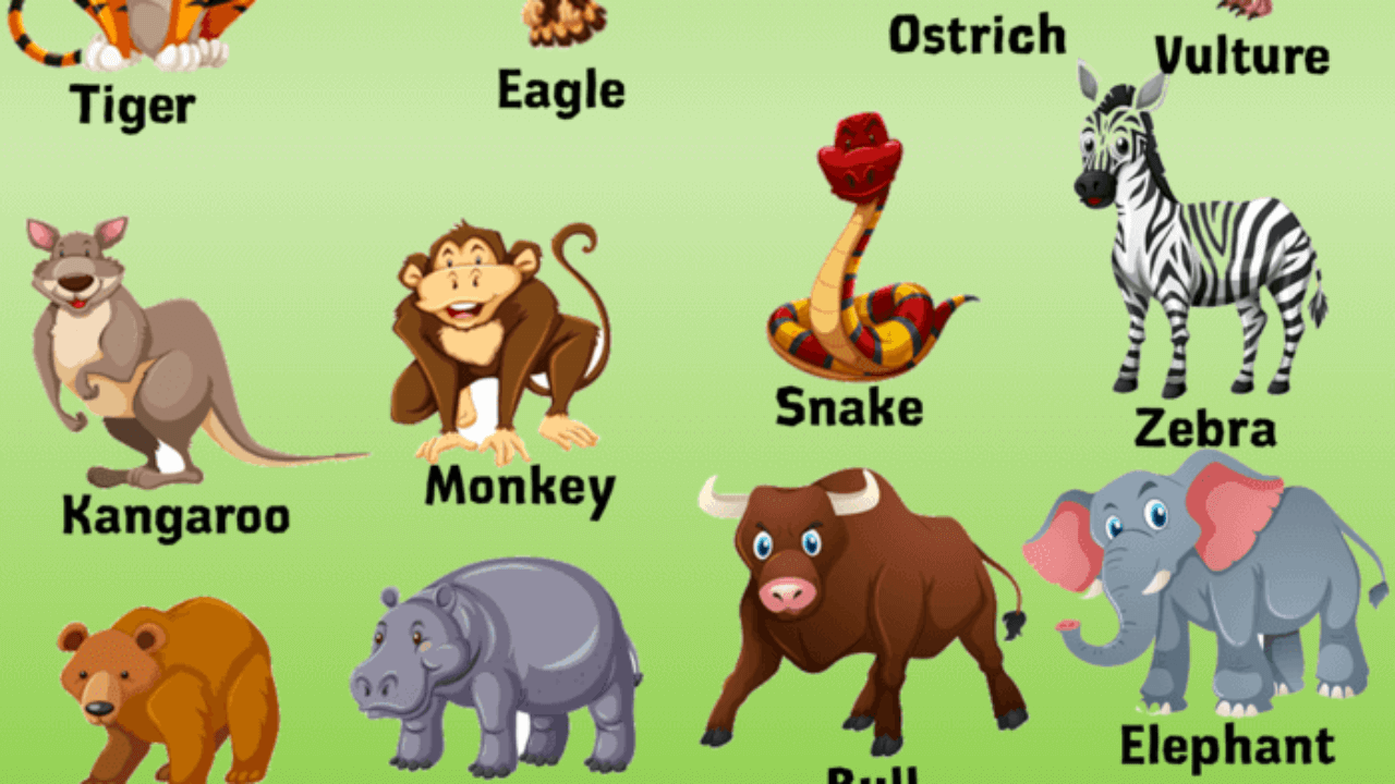 20 Wild Animals Name, 20 Different Animals and Example Sentences - English  Grammar Here