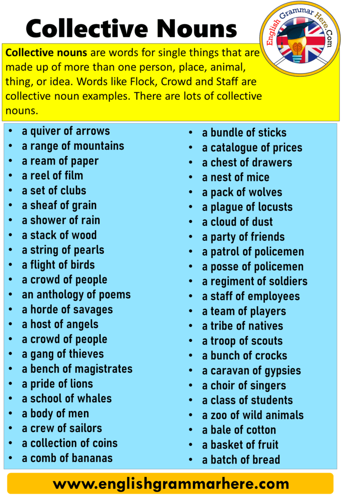 collective noun examples for animals