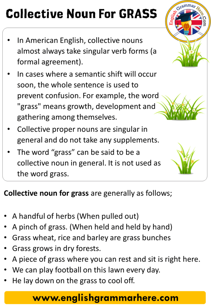 Collective Noun For Grass, Collective Nouns List in English
