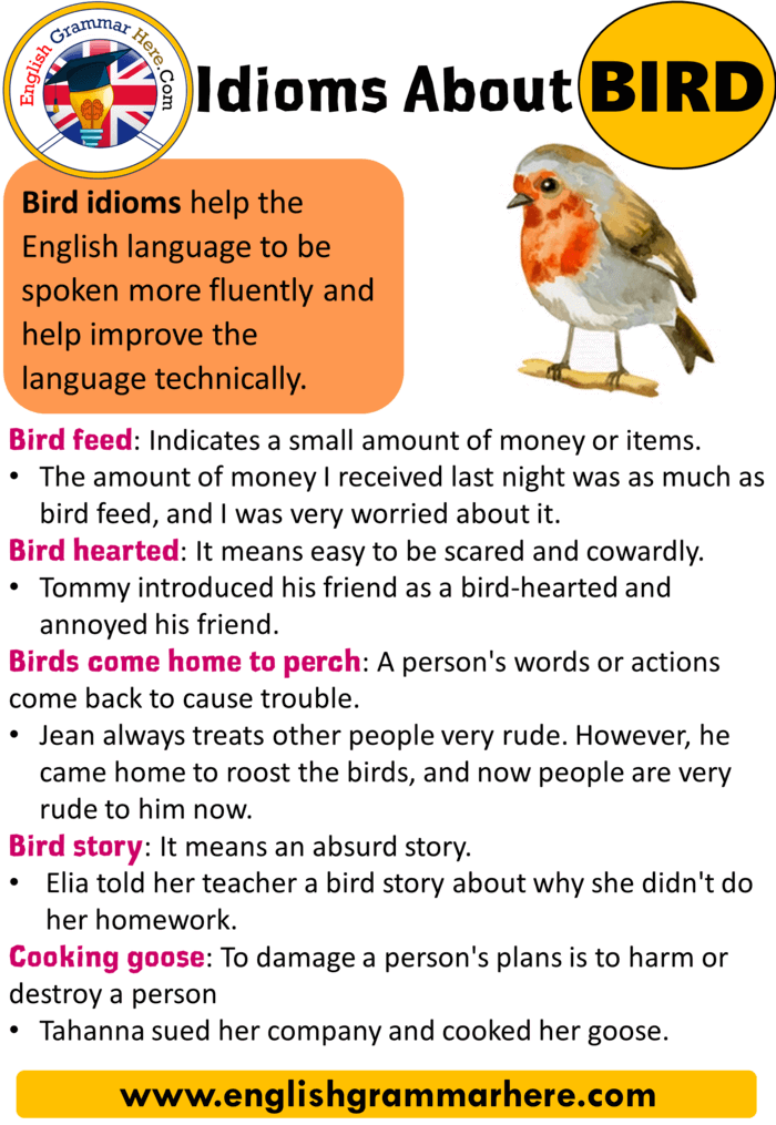 Idioms About Bird, List of Idioms Related To Bird - English Grammar Here