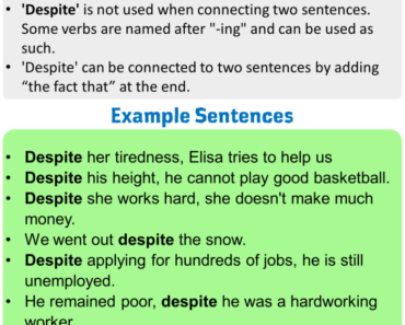 How tou use Despite, Using Despite in English, Example Sentences with Despite