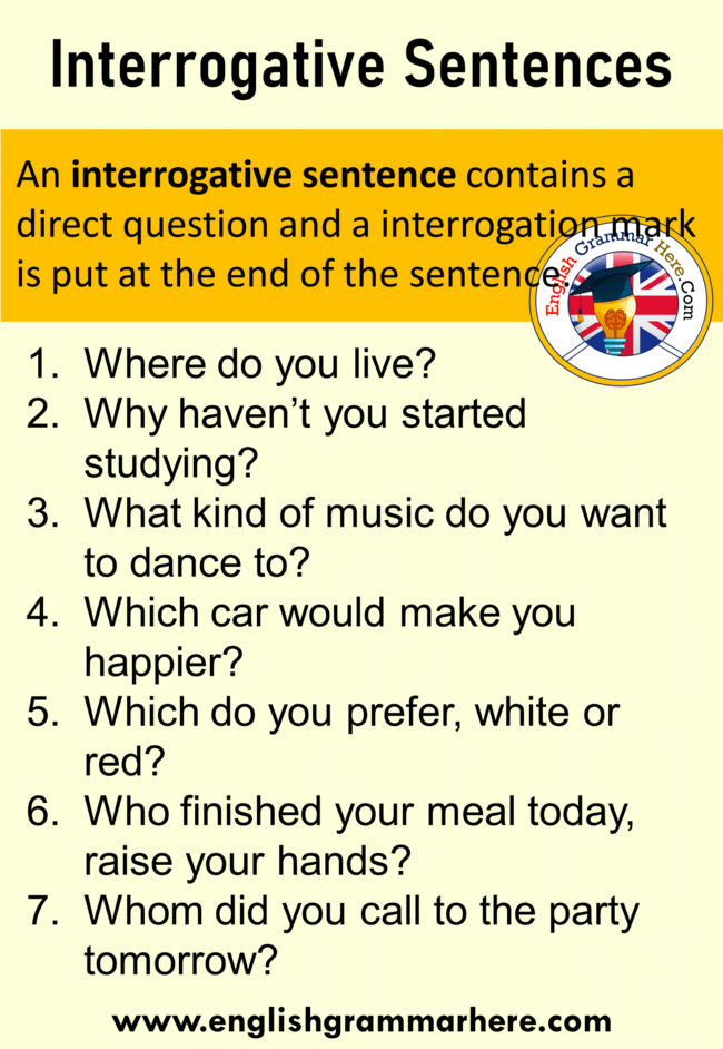 5 Example of Interrogative Sentence in English