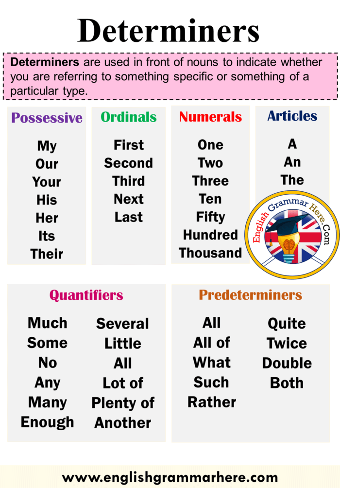 Examples of Determiners and Use in a Sentence