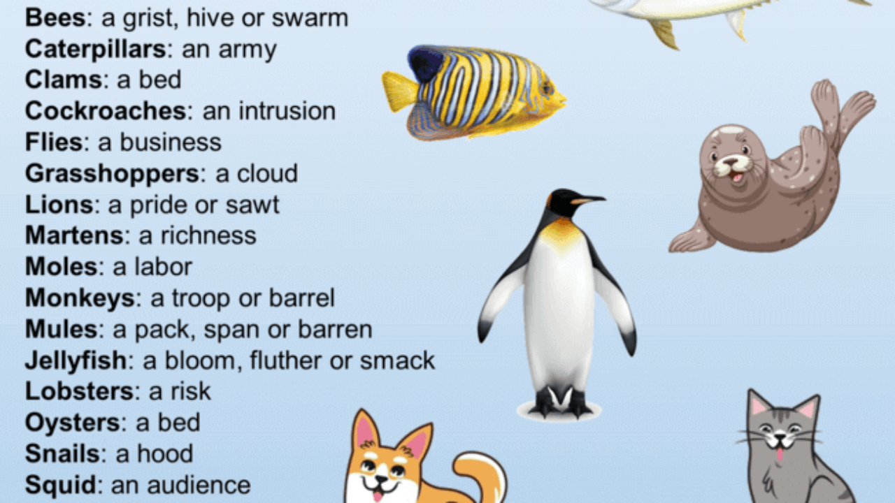 Names for Groups of Animals, Definition and 90 Animals Names Group List -  English Grammar Here