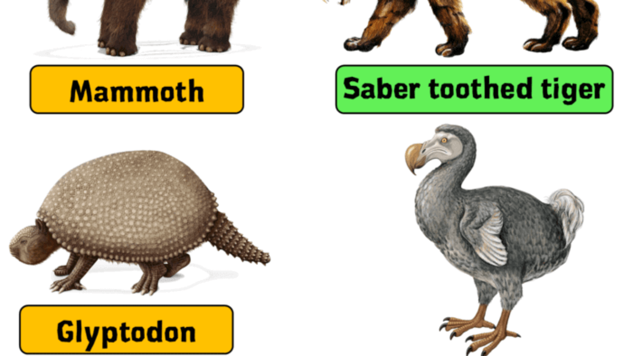Names of Extinct Animals, Extinct Animals With Names and Pictures - English  Grammar Here