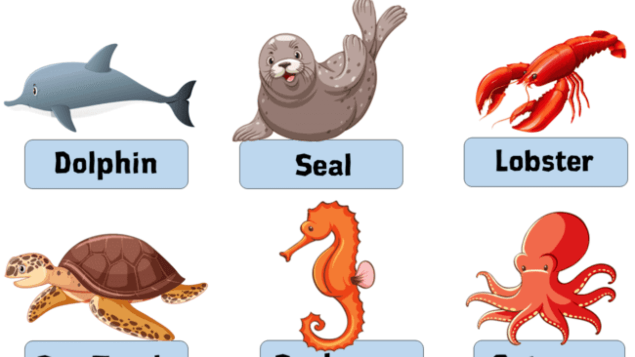 7 Water Animals Name With Pictures Definition And Examples English Grammar Here