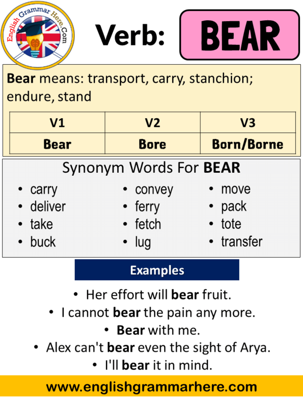 Bear Past Simple, Simple Past Tense of Bear Past Participle, V1 V2 V3 Form Of Bear