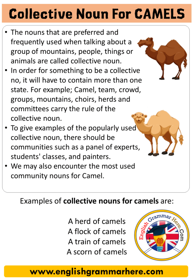 Collective nouns for animals - lopispeedy