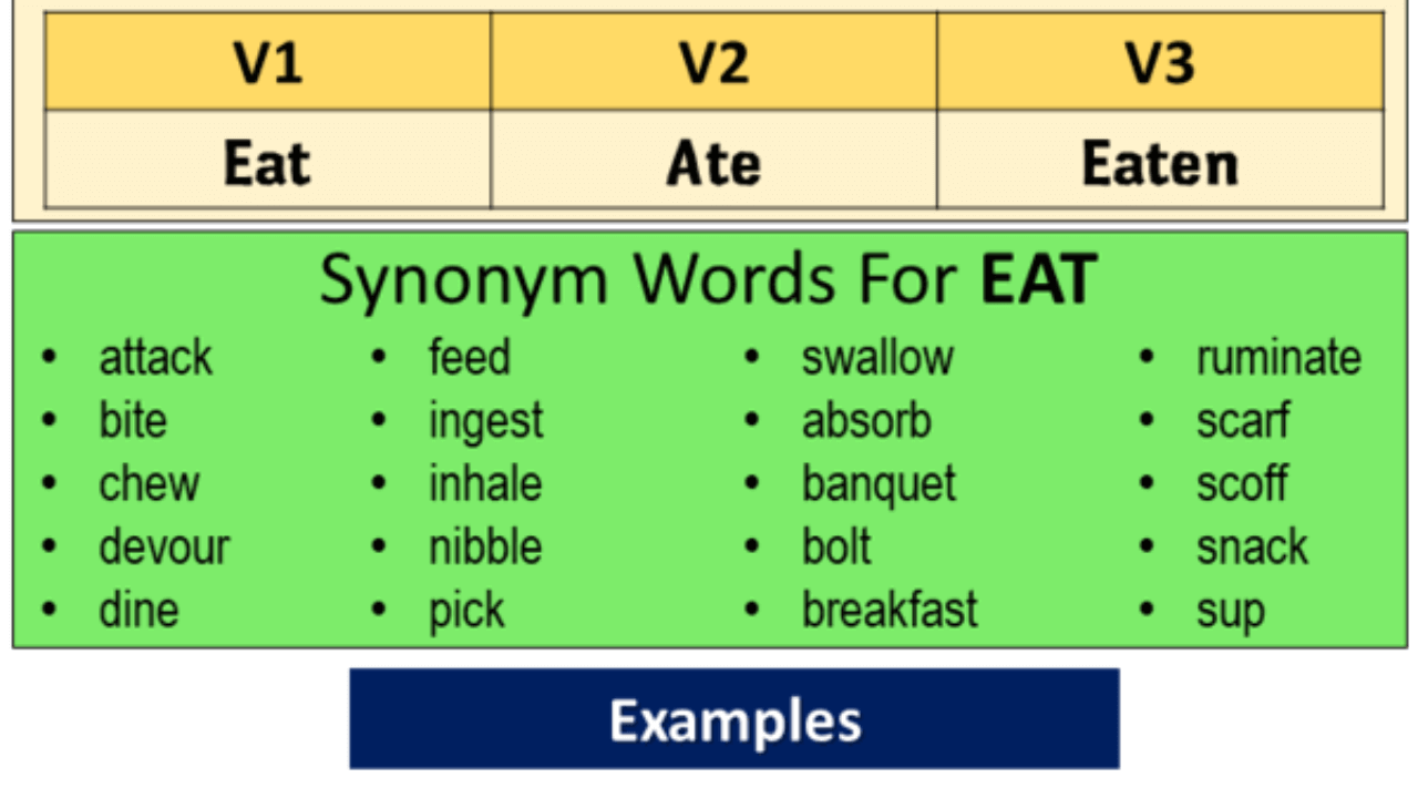 Eat Past Simple Simple Past Tense Of Eat V1 V2 V3 Form Of Eat English Grammar Here