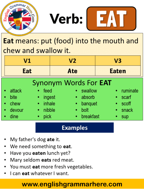 Eat Past Simple Simple Past Tense Of Eat V1 V2 V3 Form Of Eat English Grammar Here