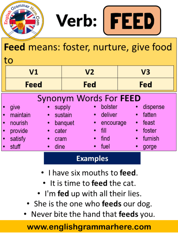 Feed past. Feed в паст Симпл. Глагол Feed в past simple. Три формы глагола Feed. Прошедшая форма глагола Feed.