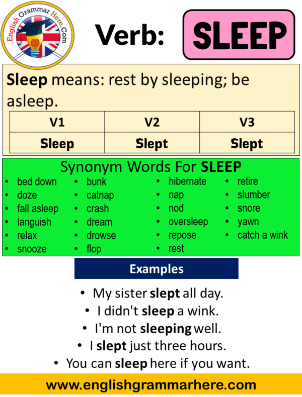 Sleep V1 V2 V3 V4 V5, Past Simple And Past Participle Form, 43% OFF