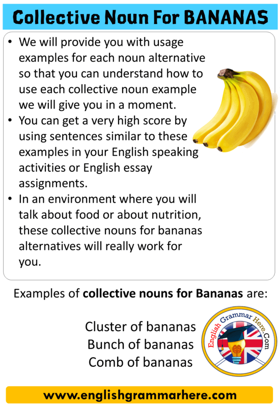 Collective Noun For Bananas, Collective Nouns List Bananas - English  Grammar Here