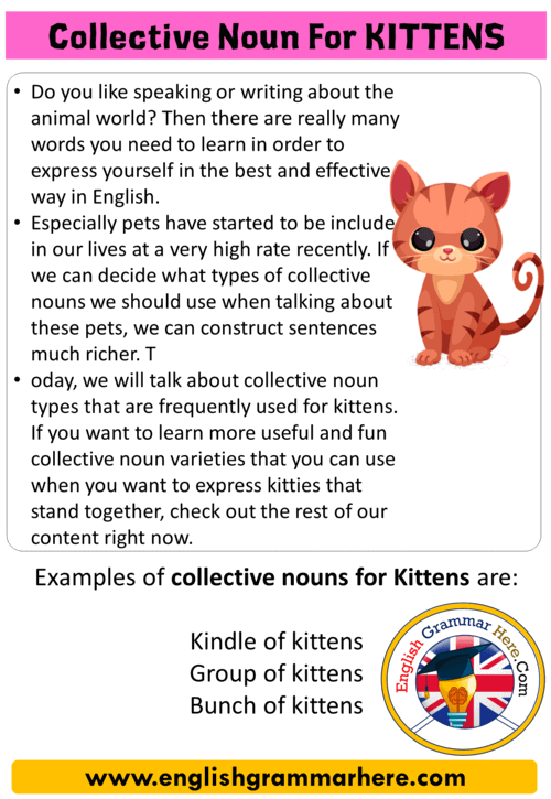 Collective Noun For Kittens, Collective Nouns List in English