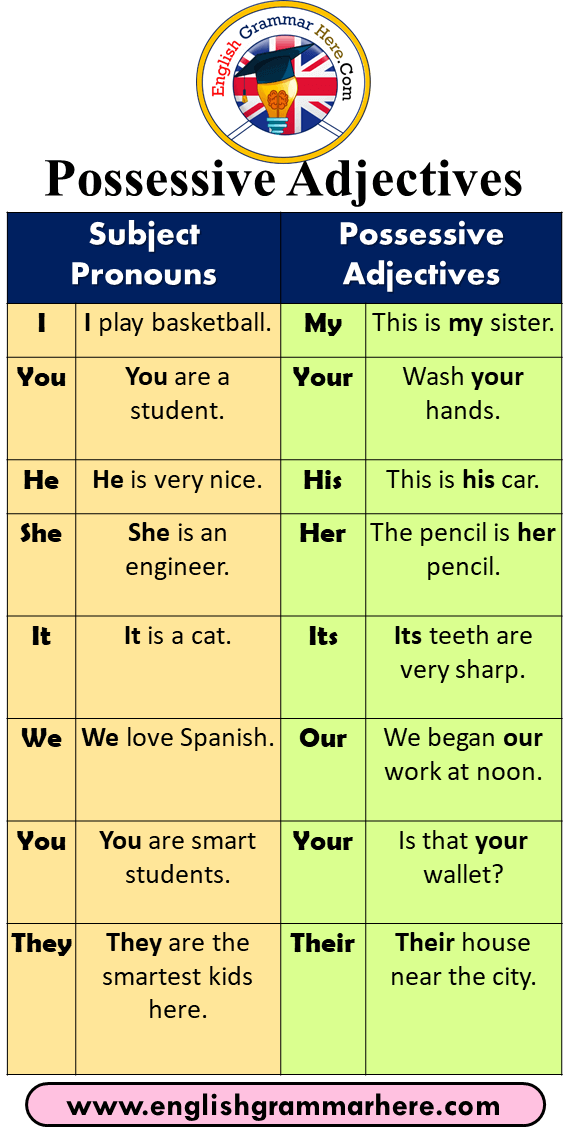 8 Possessive Adjectives, Definition and Example Sentences