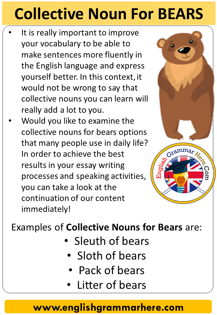 Collective Noun For Bears, Collective Nouns List Bears English