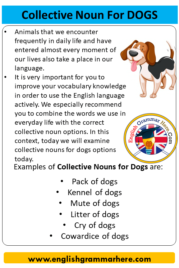 Collective Noun For Dogs Collective Nouns List Dogs English Grammar Here