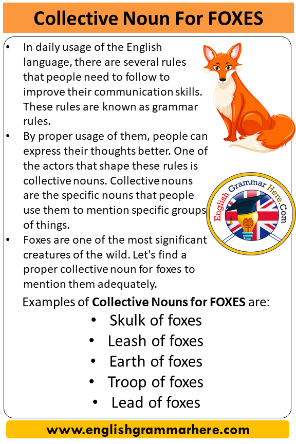 Collective Noun For Foxes, Collective Nouns List Foxes - English Grammar  Here