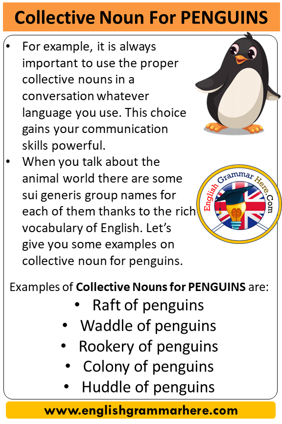 Collective Noun For Penguins, Collective Nouns List Penguins - English  Grammar Here