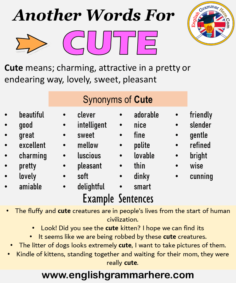 Another word for Cute, What is another, synonym word for Cute?