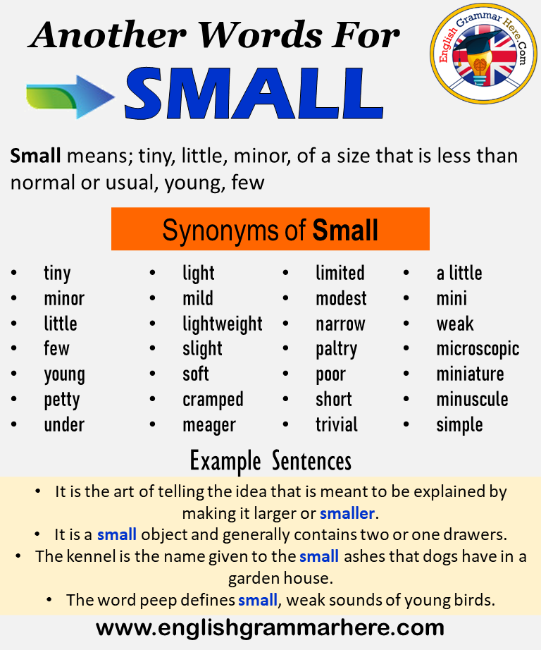 Another word for Small, What is another, synonym word for Small?