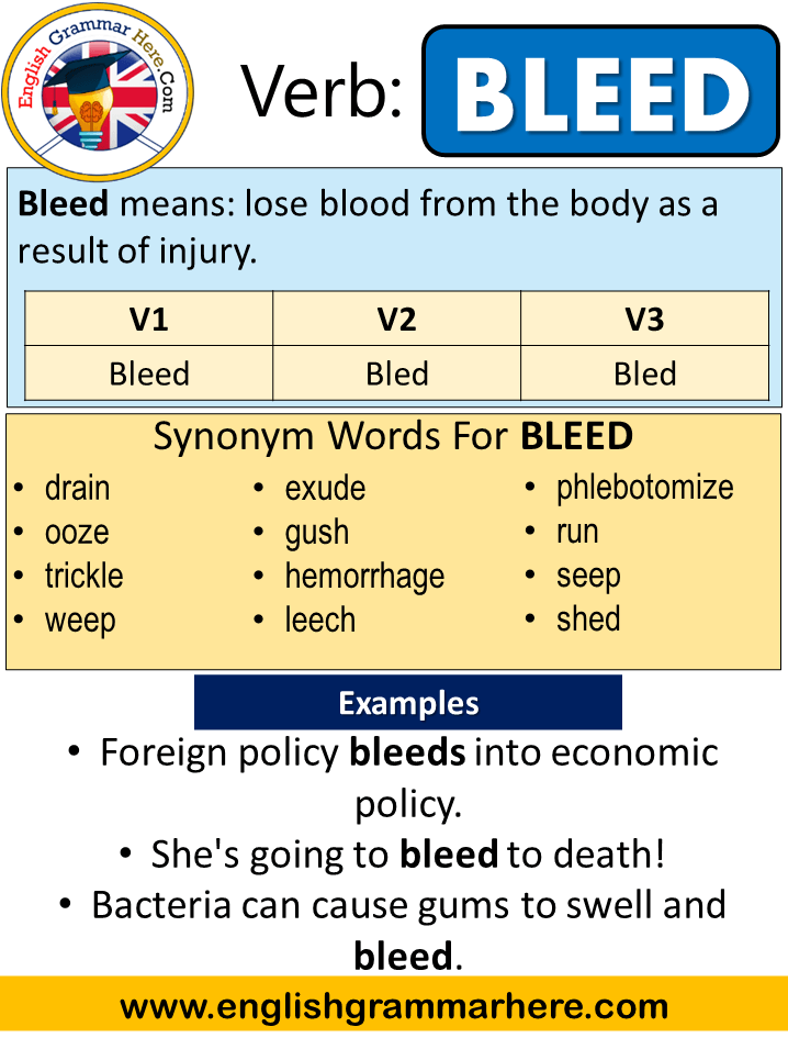 Bleed Past Simple, Simple Past Tense of Bleed Past Participle, V1 V2 V3 Form Of Bleed