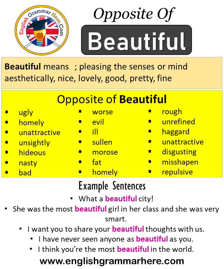 Opposite Of Beautiful, Antonyms of Beautiful, Meaning and Example Sentences