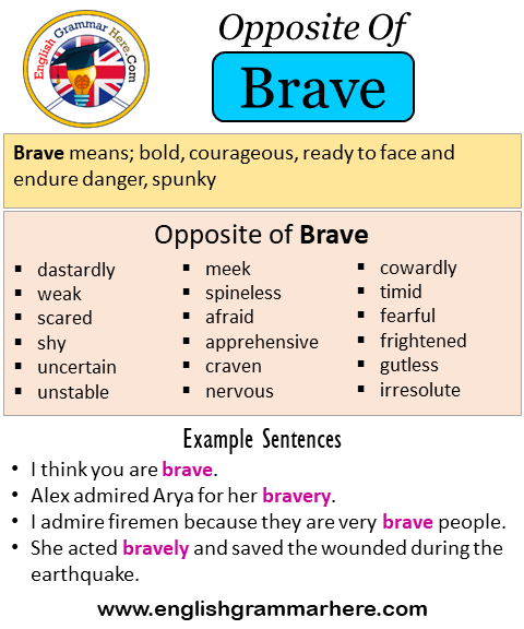 synonyms for brave with a m