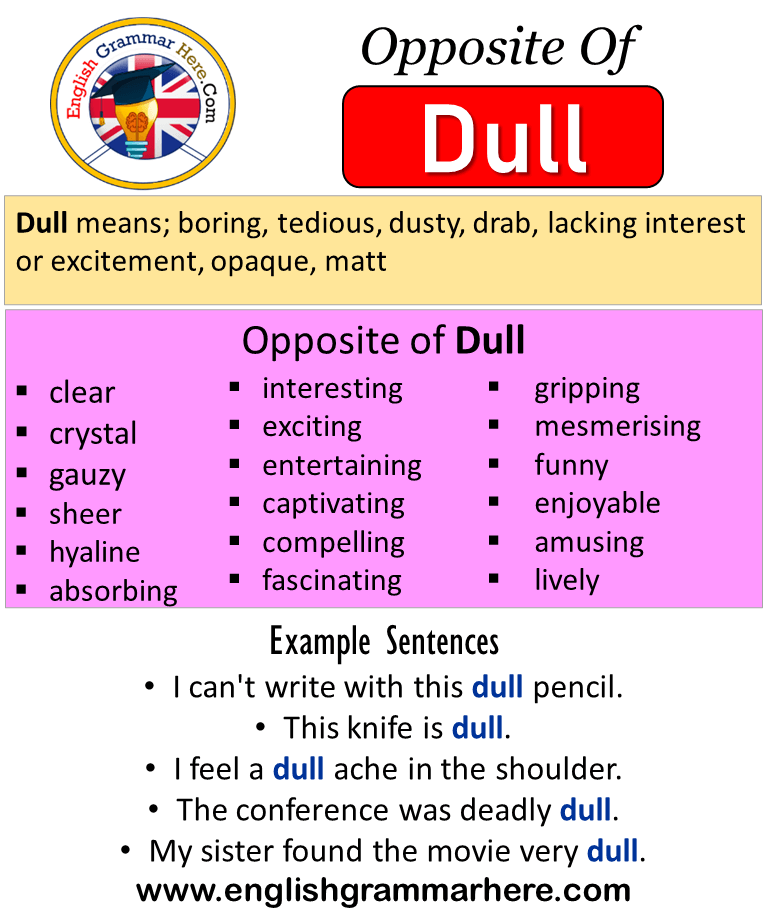 What Is The Closest Antonym For The Word Dull