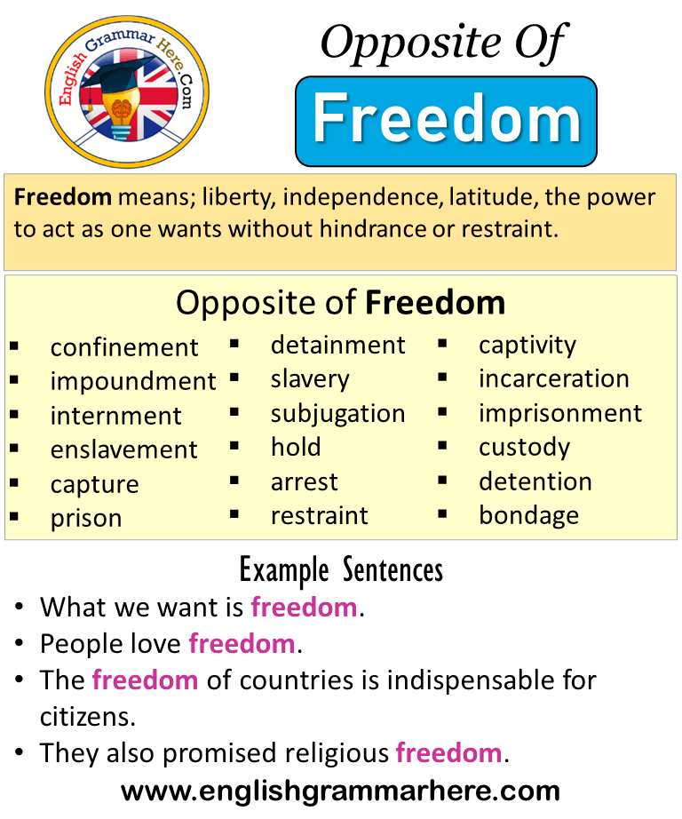 freedom-meaning-synonyms-and-antonyms-meaningy